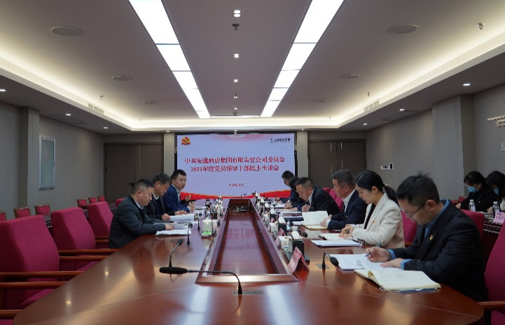 人生就是博集团党委书记、董事长任丁出席安逸酒店集团2022年度党员领导干部民主生活会